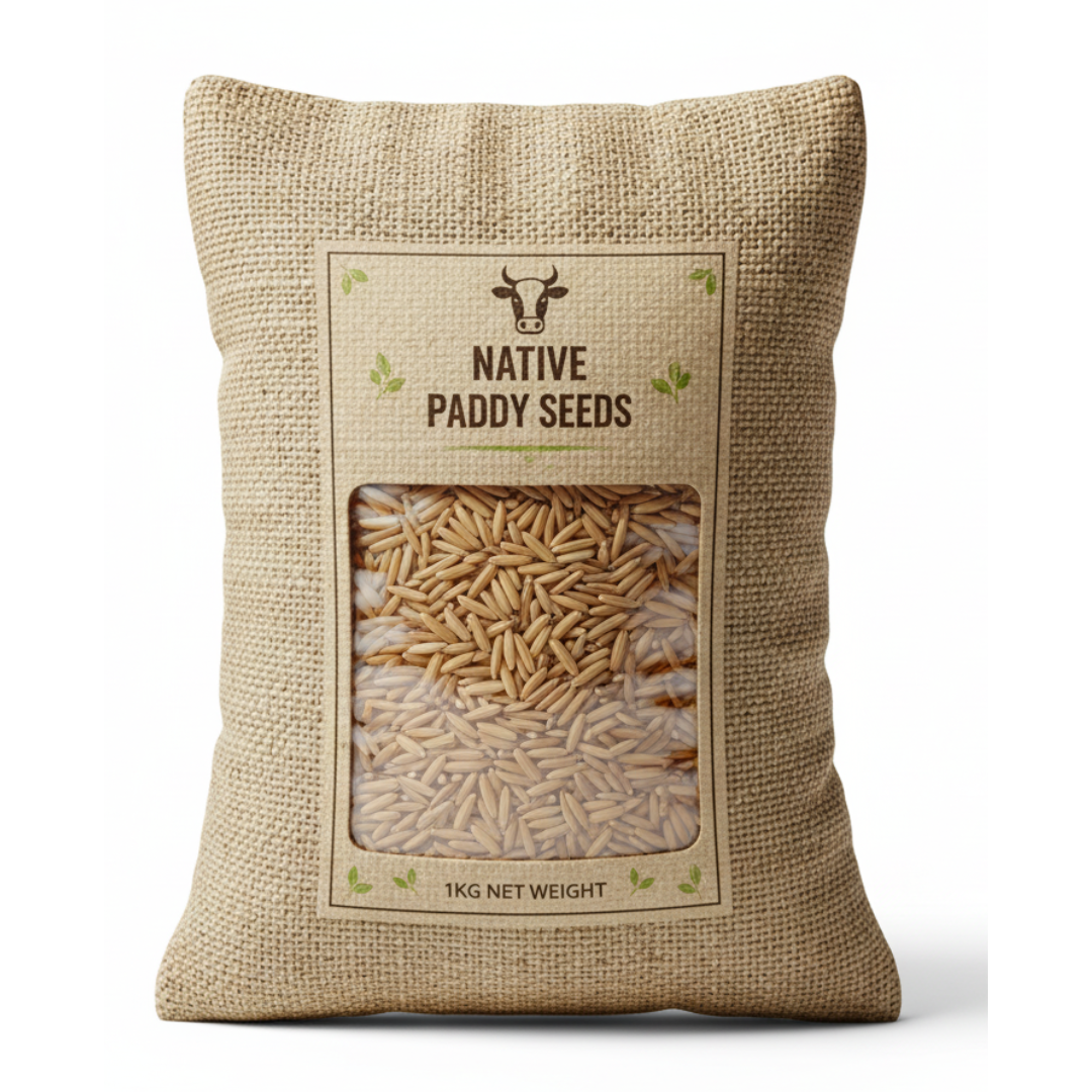 Native Paddy Seeds (1kg)