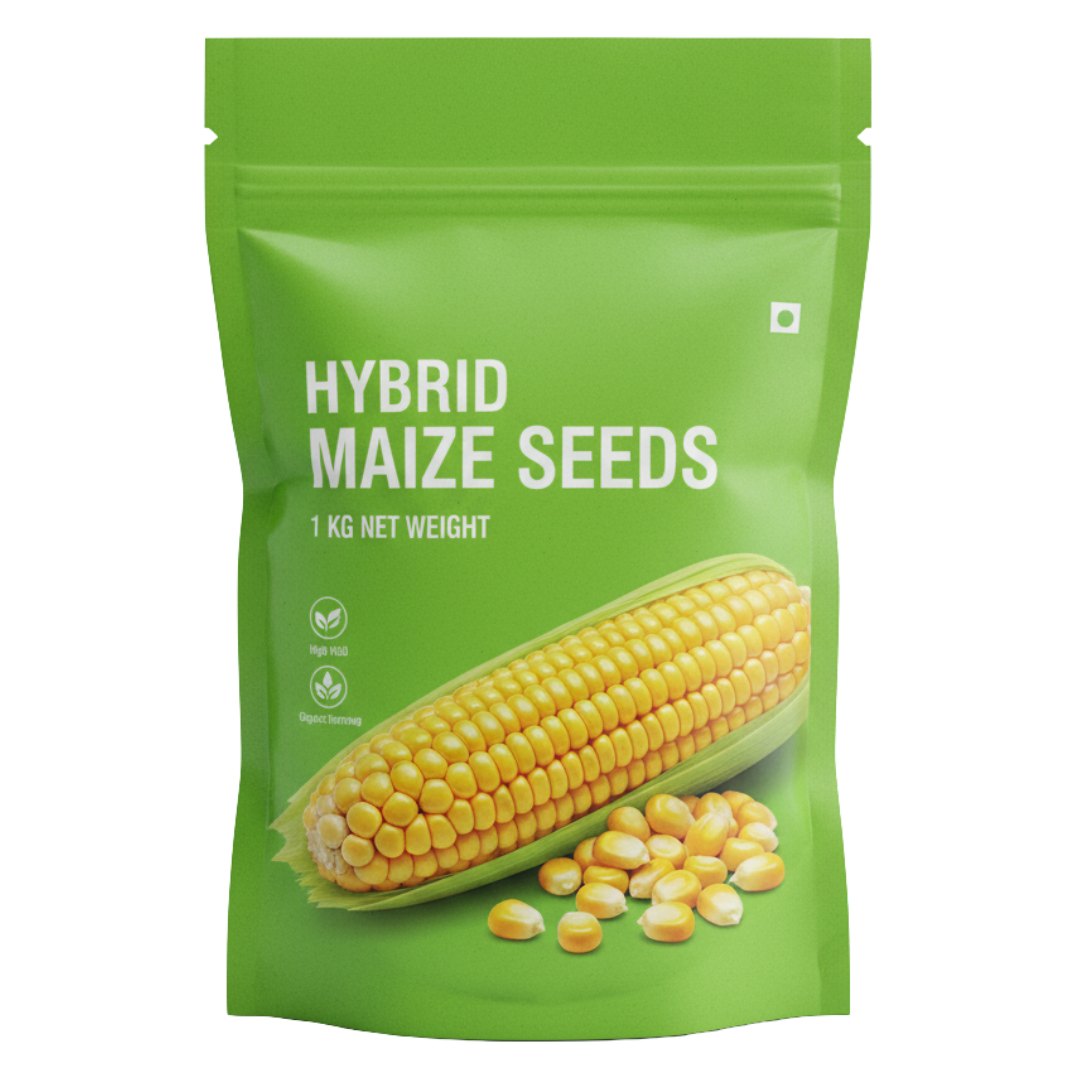 Hybrid Maize Seeds (1kg)